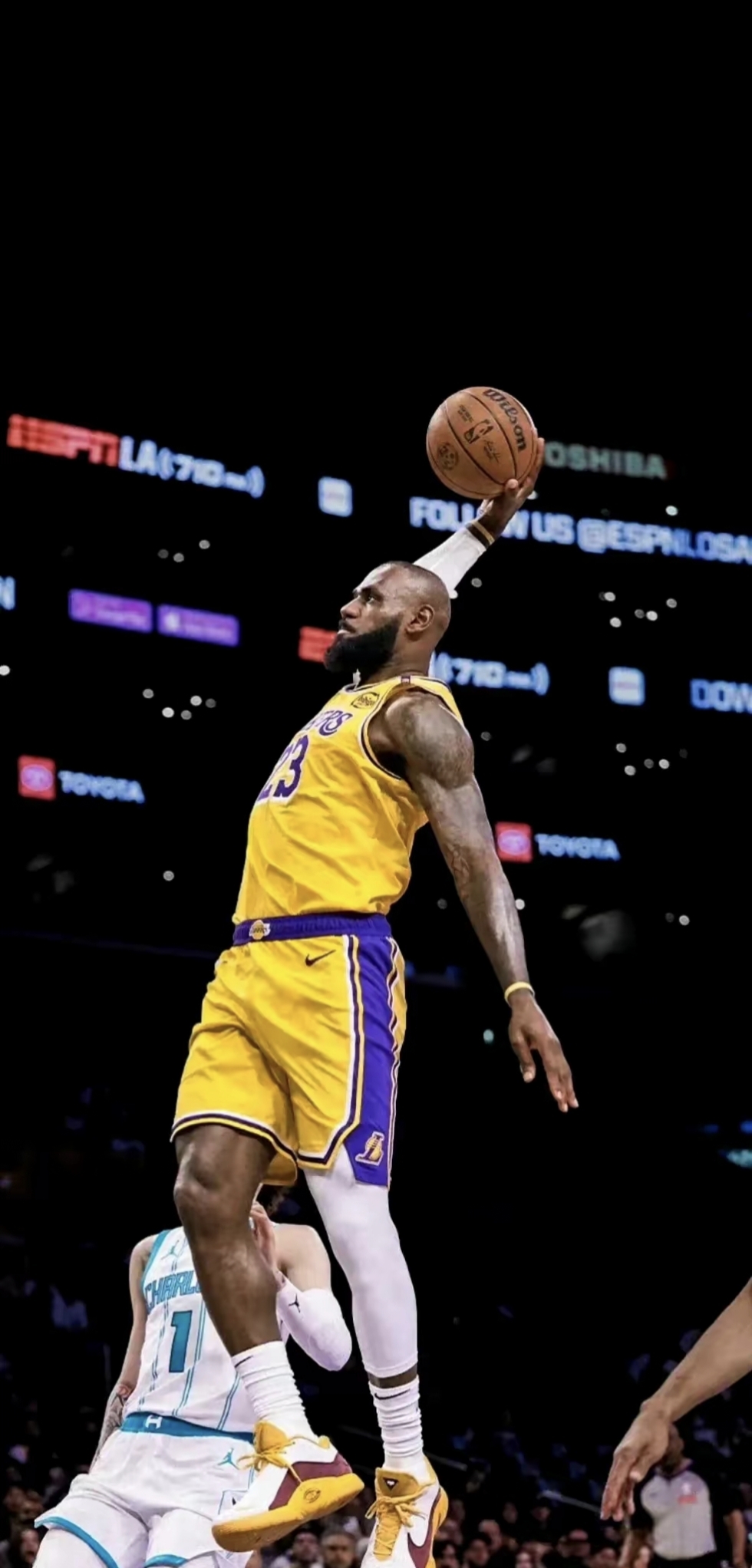 合规与惩戒 合规与惩戒